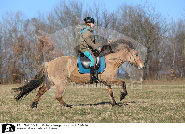Frau reitet Islnder / woman rides Icelandic horse / PM-07744