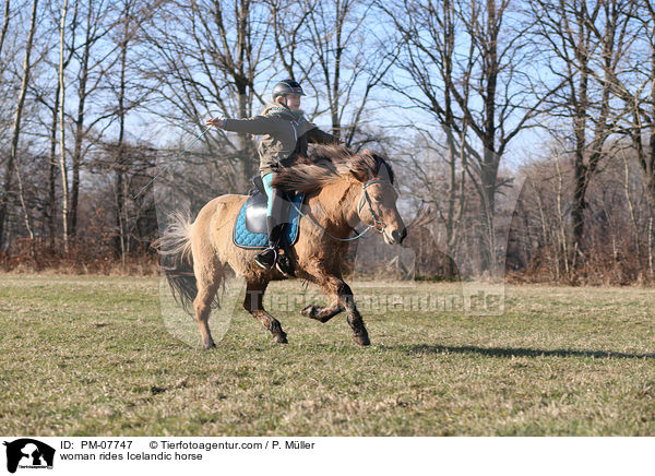 Frau reitet Islnder / woman rides Icelandic horse / PM-07747