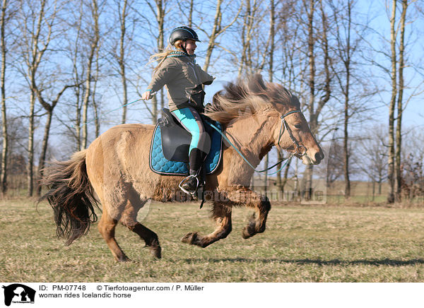 Frau reitet Islnder / woman rides Icelandic horse / PM-07748