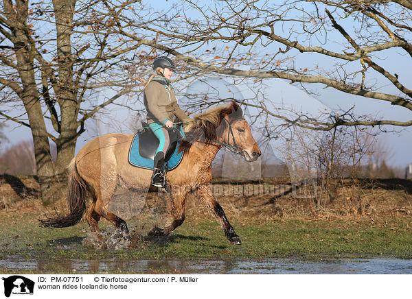 Frau reitet Islnder / woman rides Icelandic horse / PM-07751