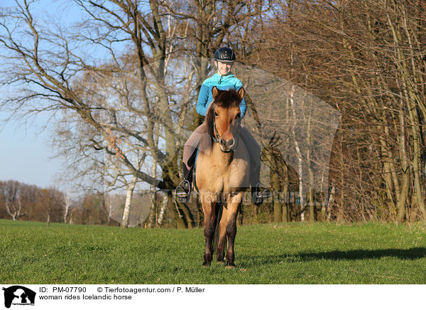 Frau reitet Islnder / woman rides Icelandic horse / PM-07790