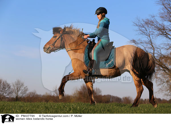 Frau reitet Islnder / woman rides Icelandic horse / PM-07794
