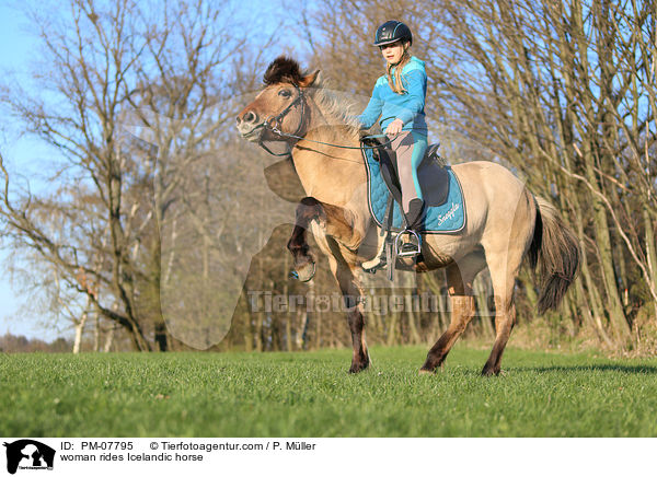 Frau reitet Islnder / woman rides Icelandic horse / PM-07795