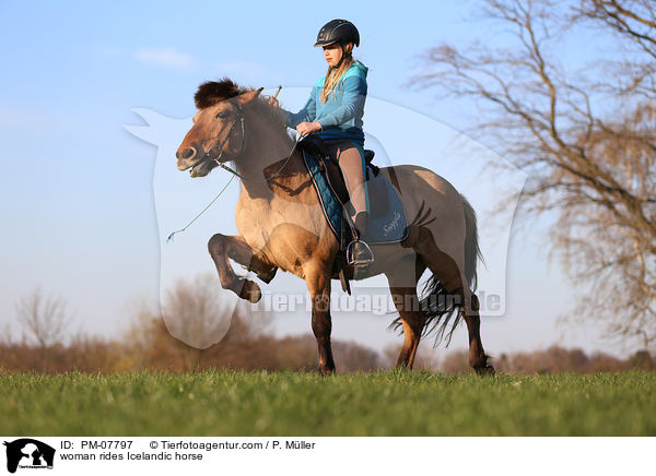 Frau reitet Islnder / woman rides Icelandic horse / PM-07797