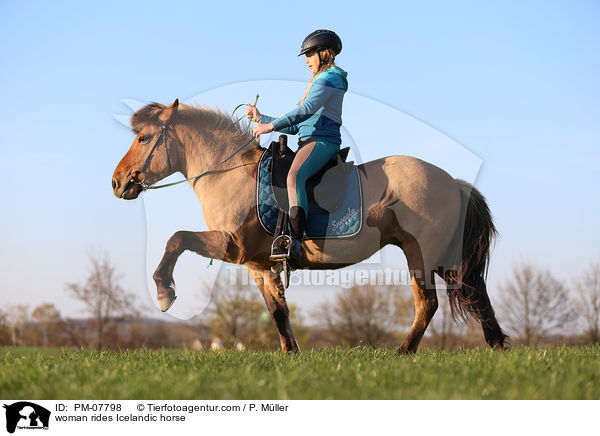 Frau reitet Islnder / woman rides Icelandic horse / PM-07798