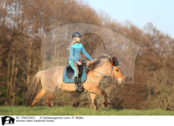Frau reitet Islnder / woman rides Icelandic horse / PM-07801