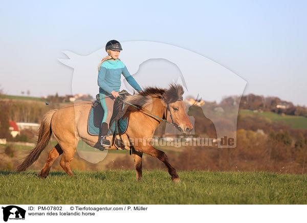 Frau reitet Islnder / woman rides Icelandic horse / PM-07802