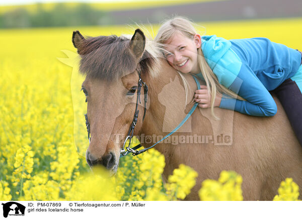 Mdchen reitet Islnder / girl rides Icelandic horse / PM-07869