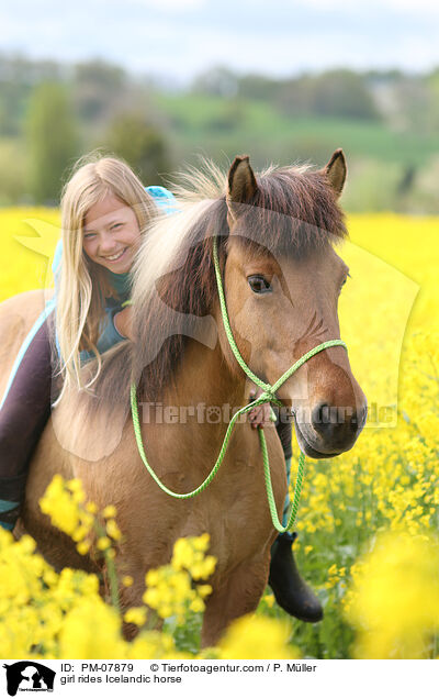 Mdchen reitet Islnder / girl rides Icelandic horse / PM-07879