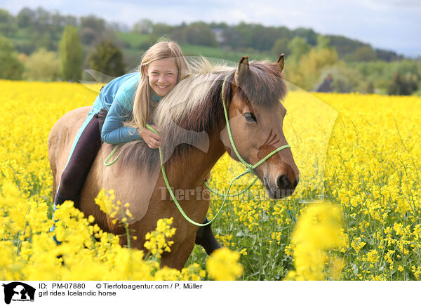 Mdchen reitet Islnder / girl rides Icelandic horse / PM-07880