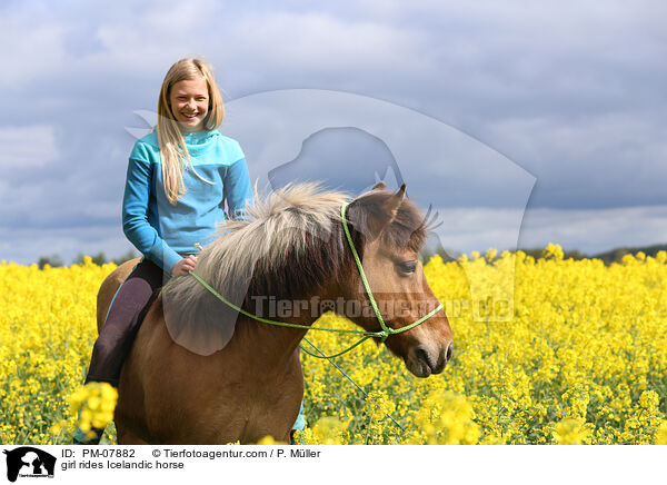 Mdchen reitet Islnder / girl rides Icelandic horse / PM-07882