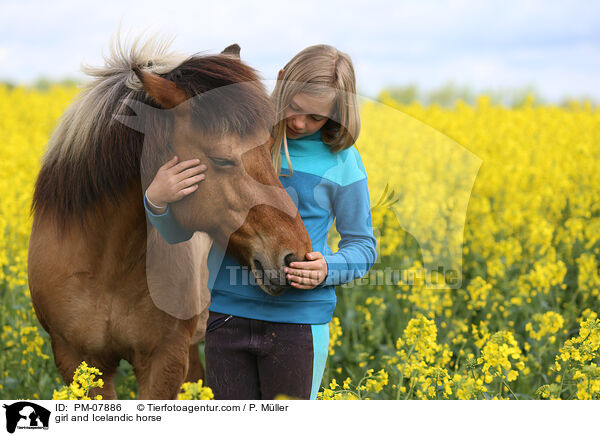 Mdchen und Islnder / girl and Icelandic horse / PM-07886