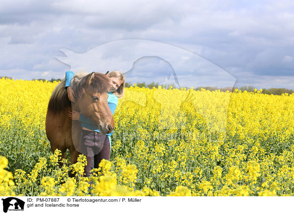 Mdchen und Islnder / girl and Icelandic horse / PM-07887