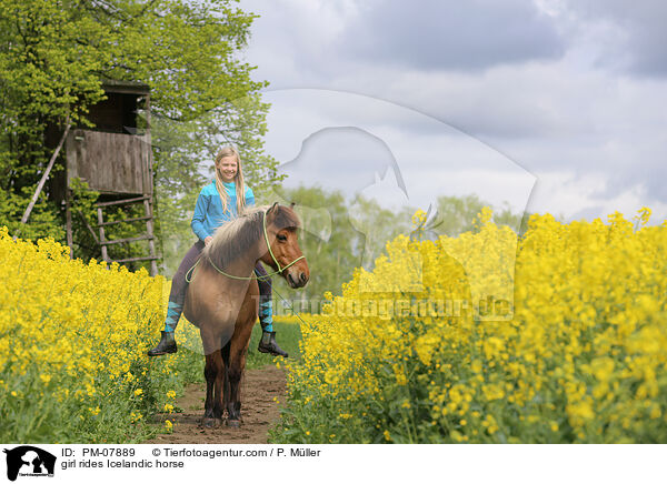 girl rides Icelandic horse / PM-07889