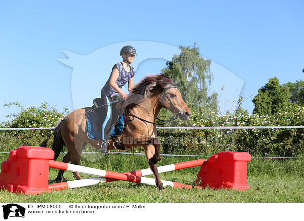 Frau reitet Islnder / woman rides Icelandic horse / PM-08005