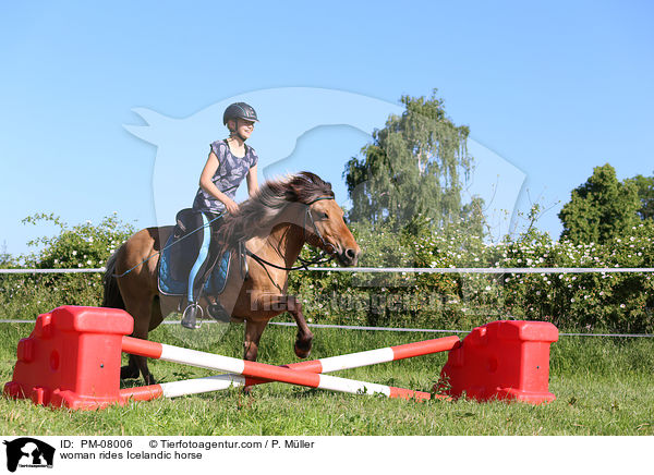 Frau reitet Islnder / woman rides Icelandic horse / PM-08006
