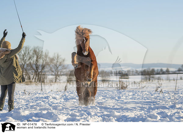 Frau und Islnder / woman and Icelandic horse / NP-01478