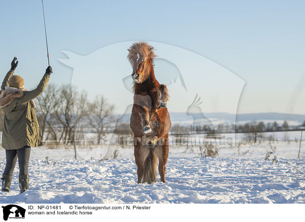 Frau und Islnder / woman and Icelandic horse / NP-01481