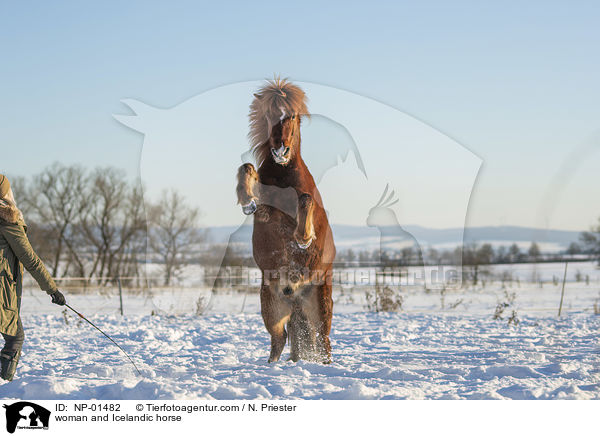 Frau und Islnder / woman and Icelandic horse / NP-01482
