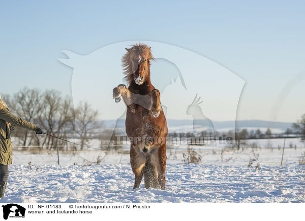 Frau und Islnder / woman and Icelandic horse / NP-01483