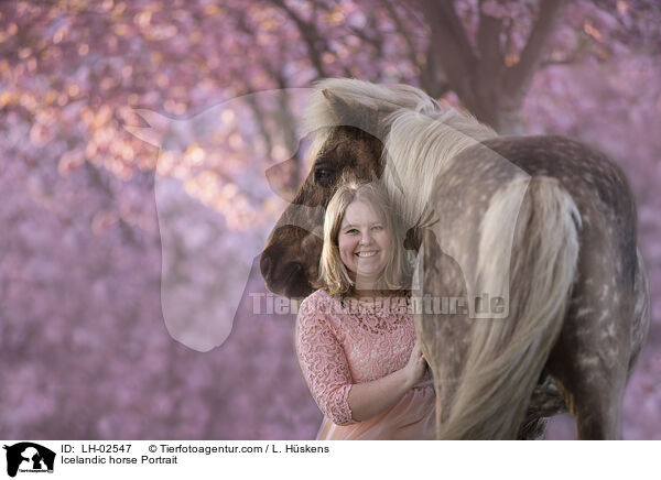 Islnder Portrait / Icelandic horse Portrait / LH-02547