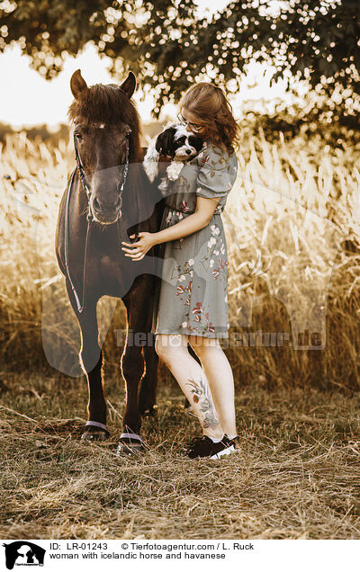 Frau mit Islnder und Havaneser / woman with icelandic horse and havanese / LR-01243