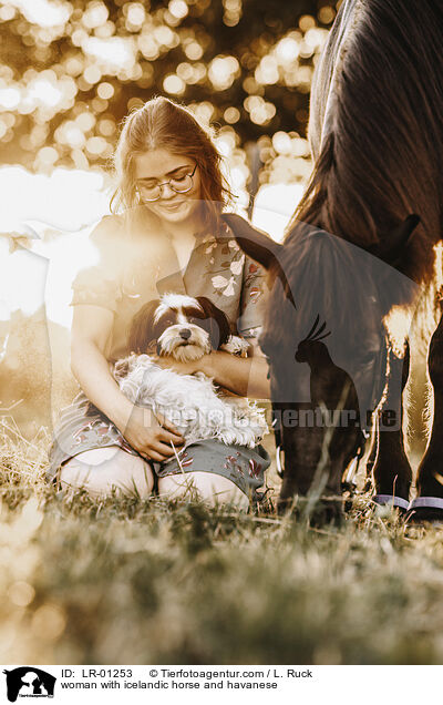 woman with icelandic horse and havanese / LR-01253