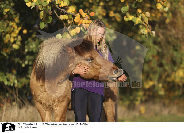 Islnder / Icelandic horse / PM-08411