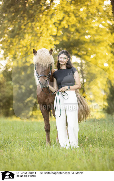 Islnder / Icelandic Horse / JAM-06064