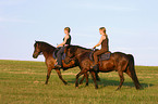 riding with Icelandic horses