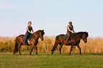 riding with Icelandic horses