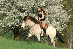 riding Icelandic Horses