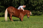 Icelandic horse