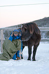 Icelandic horse