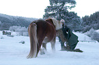 Icelandic horse