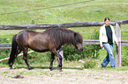 woman and Icelandic horse