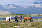 woman and horses