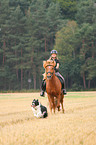 woman rides Icelandic horse