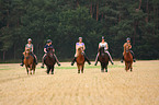 woman rides Icelandic horses