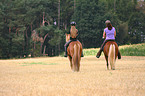 woman rides Icelandic horses