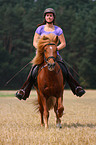 woman rides Icelandic horse