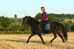 woman rides Icelandic horse