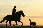 woman rides Icelandic horse