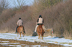 riding Icelandic horses