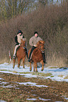 riding Icelandic horses