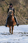 riding an Icelandic horse