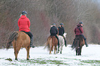 riding Icelandic horses