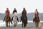 riding Icelandic horses