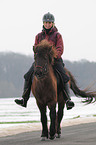 riding an Icelandic horse