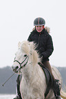 riding an Icelandic horse